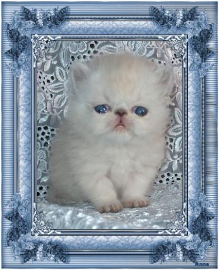 Bébé