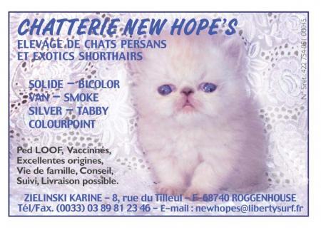 L'ELEVAGE  NEW HOPE'S 