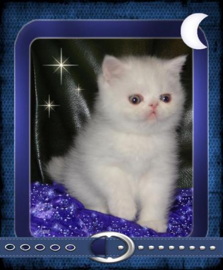 Bébé de l'élevage